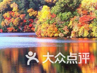 2023年适宜理发吉日游戏画面