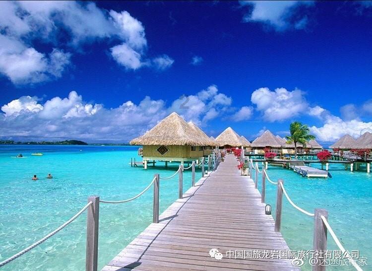 约基奇独挑大梁!34+12+9力压双探花,穆雷狂轰35分,掘金掀翻绿军主场