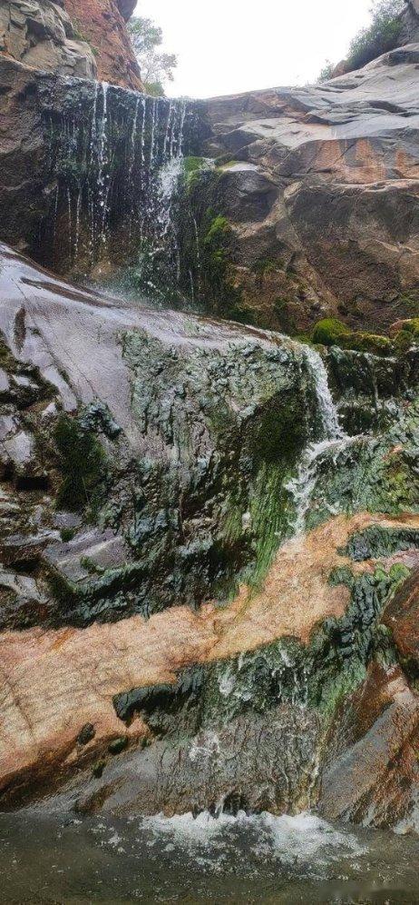一月份六破纪录,哈尔滨机场单日旅客吞吐量再创历史新高